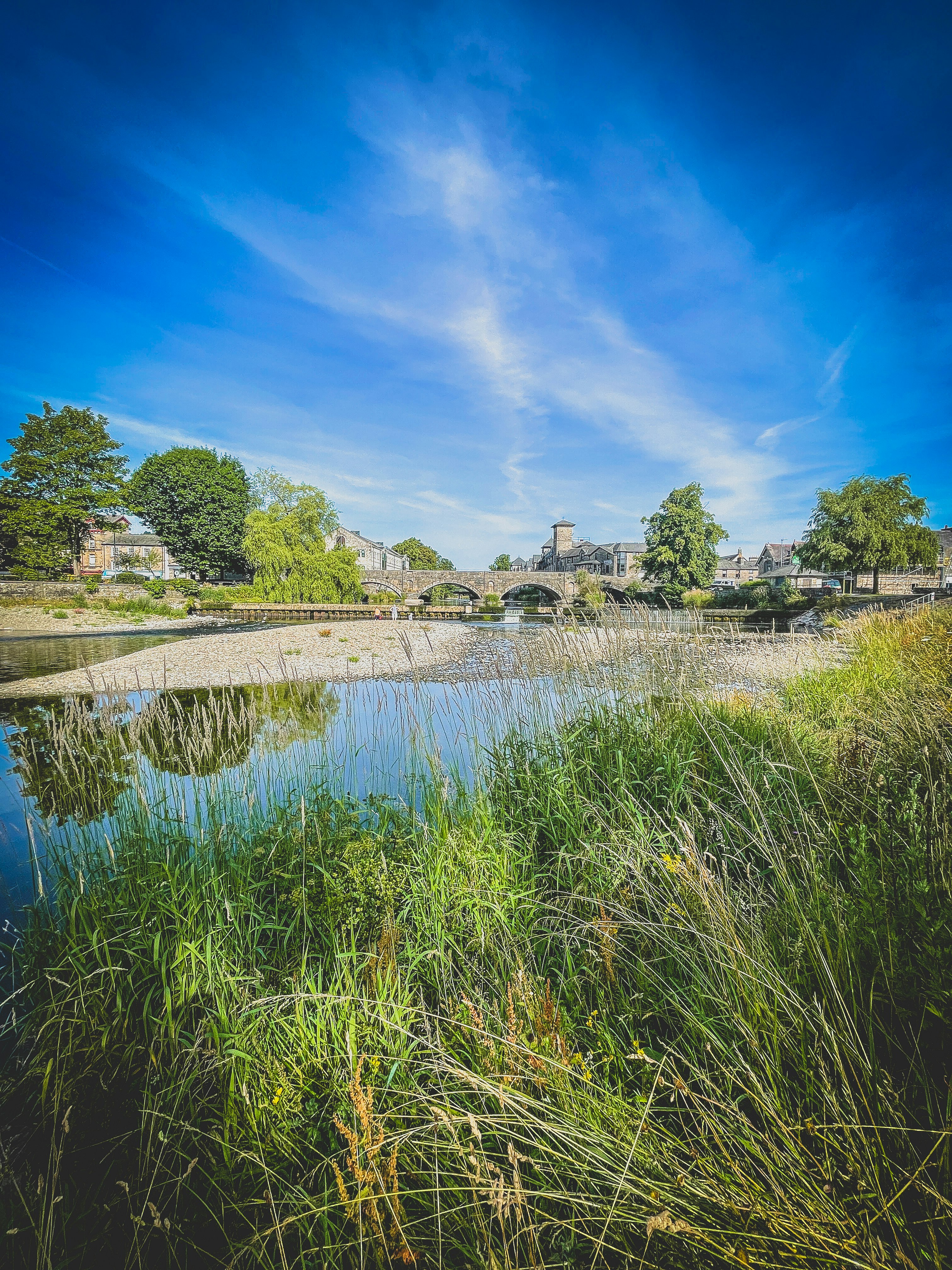 green grass and trees near lake under blue sky during daytime